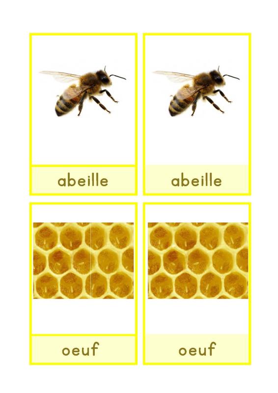 abeilles Français