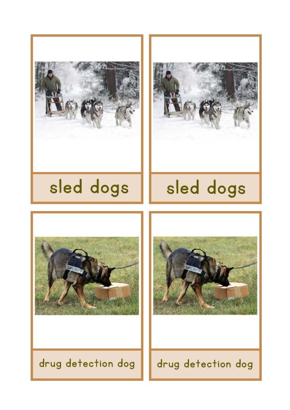 working dogs English