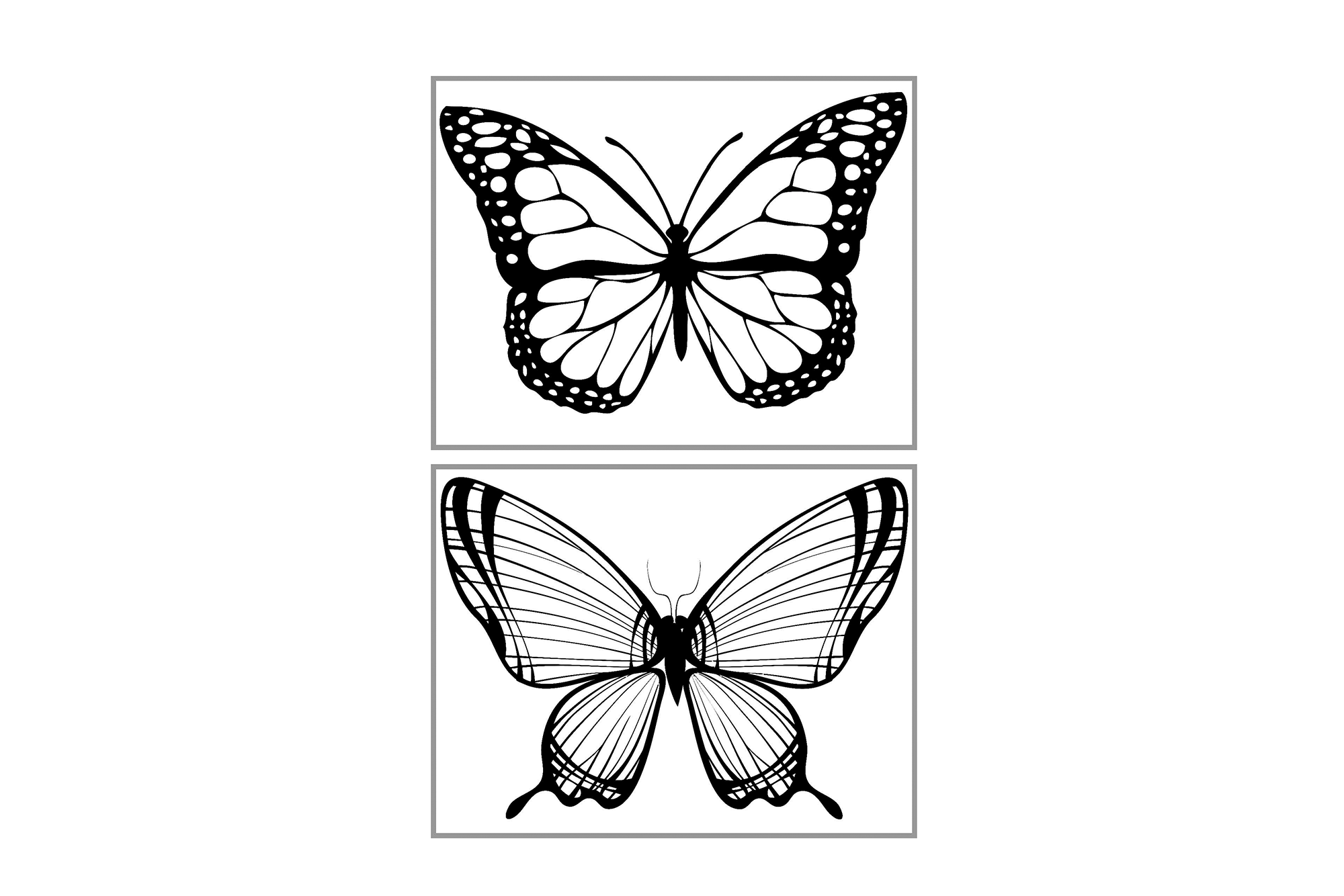 Ausmalbilder: Schmetterling, colouring pictures: butterfly, images à colorier: papillon, dibujos para colorear: mariposa, immagini da colorare: farfalla