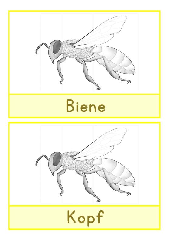 Arbetiskartei Biene Deutsch