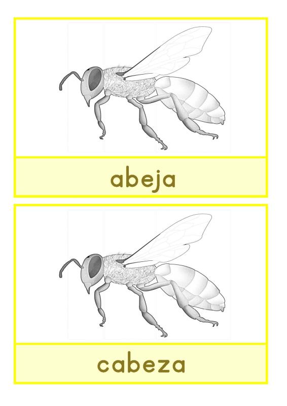 ficha de trabajo abeja Español