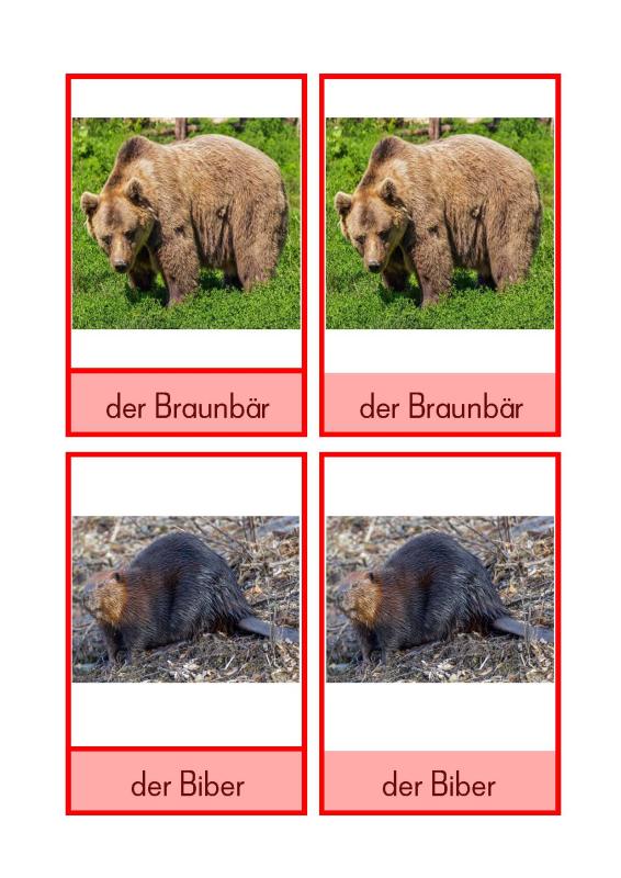 europäische Tiere Deutsch