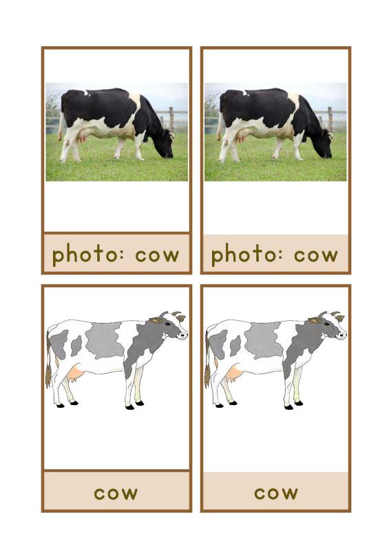 cow English